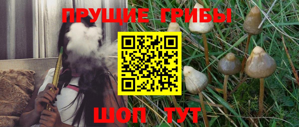Галлюциногенные грибы Psilocybine cubensis  Вход с VPN  Воркута 